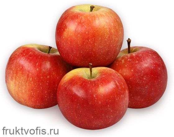 Яблоки Бреберн Яблоки Бреберн