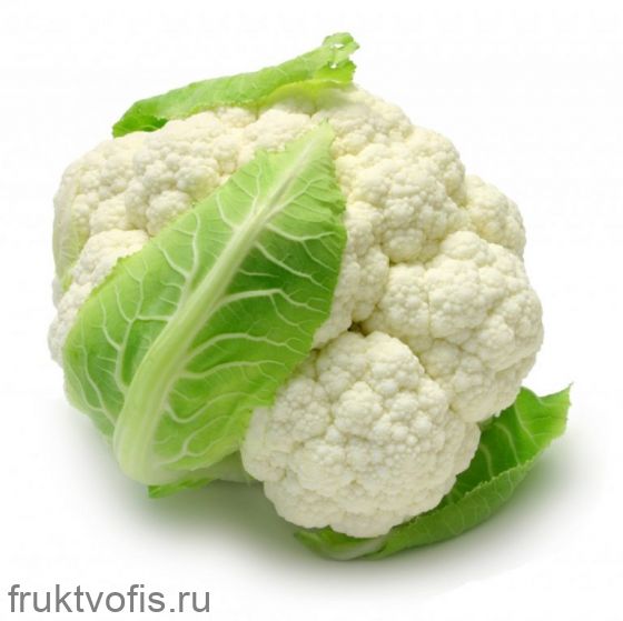 Цветная капуста