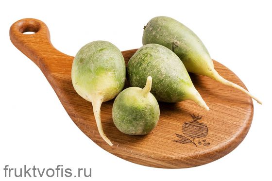 Редька маргеланская зеленая Редька маргеланская зеленая