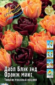 Смесь Тюльпаны Дабл Блэк энд Оранж микс, 11/12, 6 шт.