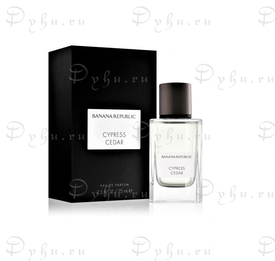Banana Republic Cypress Cedar