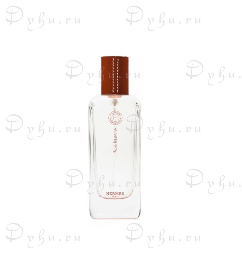 Hermes Hermessence Rose Ikebana