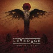LEVERAGE - Determinus