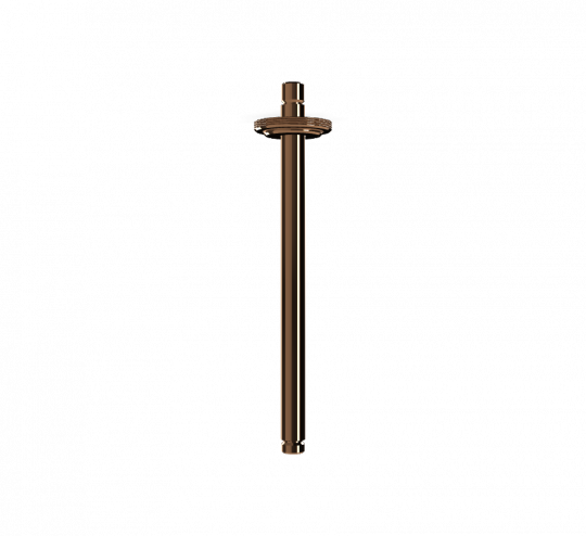 Потолочный держатель для верхнего душа Fima - Carlo Frattini Park Lane F1386 схема 10