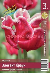 Тюльпан Элегант Краун, серия "Двойной эффект",  11/12, 1 шт.