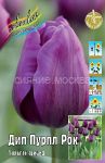 Tyulpan-Dip-Purpl-Rok-Deep-Purple-Rock-Triumf-11-12-1-sht
