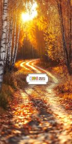 Фон "Autumn №8"