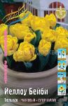 Tyulpan-mahrovyj-superkarlik-Jellou-Bejbi-Yellow-Baby-10-11-1-sht