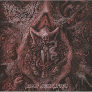 VULVECTOMY - Aberrant Vaginal Gestation
