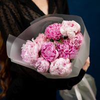 9 пионов