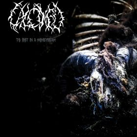 CALCINED - To Rot In A Honeybeam CD DIGIPAK