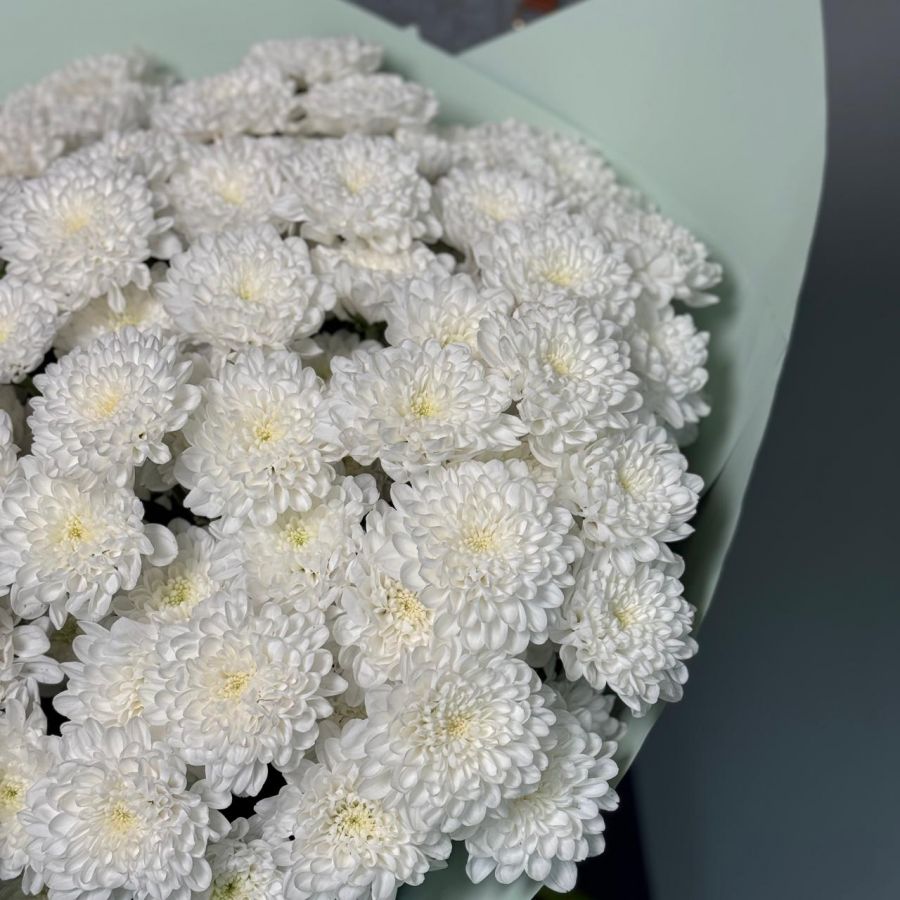 Букет из белых хризантем