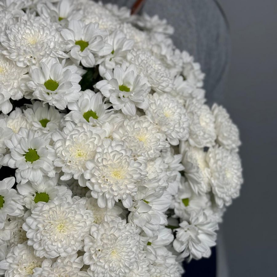 25 белых хризантем микс