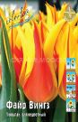 Tyulpan-Fajr-Vingz-liliecvetnyj-11-12-1-sht
