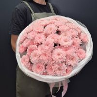 Букет 15 кустовых хризантем Букет 15 кустовых хризантем
