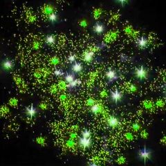 Фейерверк РК7328 Все Пучком! (1,0" х 25) Фейерверк РК7328 Все Пучком! (1,0" х 25)