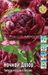 Tyulpan-Nochnoj-Dozor-gusto-mahrovyj-pozdnij-11-12-1-sht