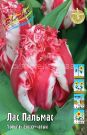 Tyulpan-Las-Palmas-bahromchatyj-11-12-1-sht