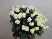 Букет из 51 белой розы (Эквадор)