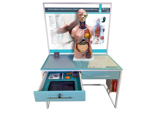 Трехмерный анатомический атлас