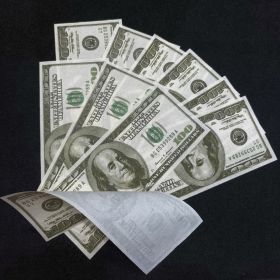 Пироденьги 100 долларов 1 купюра