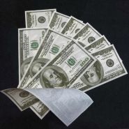 Пироденьги 100 долларов 1 купюра