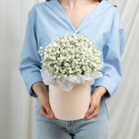 Композиция "Легкость"