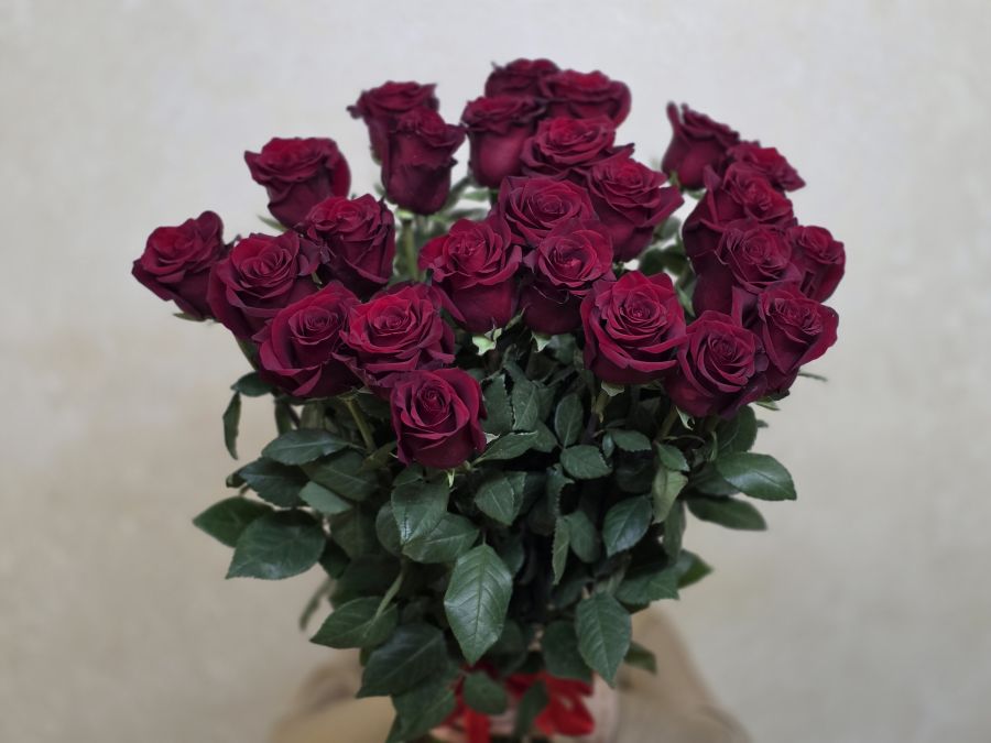 25 роз Эквадор Премиум Explorer