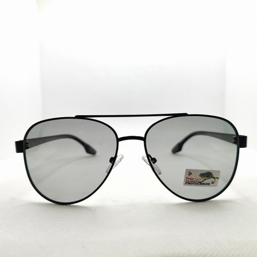 Polar Eagle 8493-1 фотохром