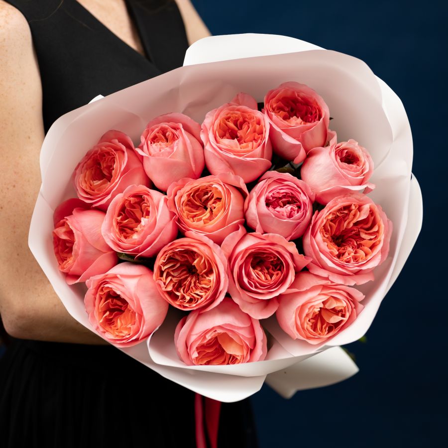 15 роз (сорт Пинк Экспрешн)