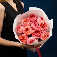 11 роз (сорт Пинк Экспрешн)