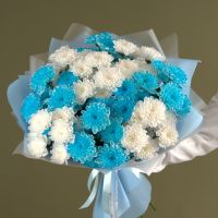 11 бело-голубых хризантем в оформлении