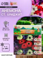 Анемона "Ст. Бриджит", многолетник, луковица, р-р 5/6, 10 шт.