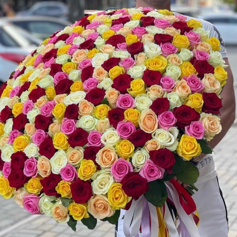 251 роза Эквадор с крупным бутоном длины 70 см