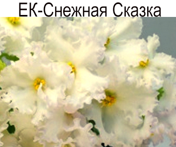 ЕК-Снежная Сказка (Е. Коршунова)