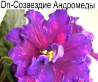 Dn-Созвездие Андромеды (Денисенко)