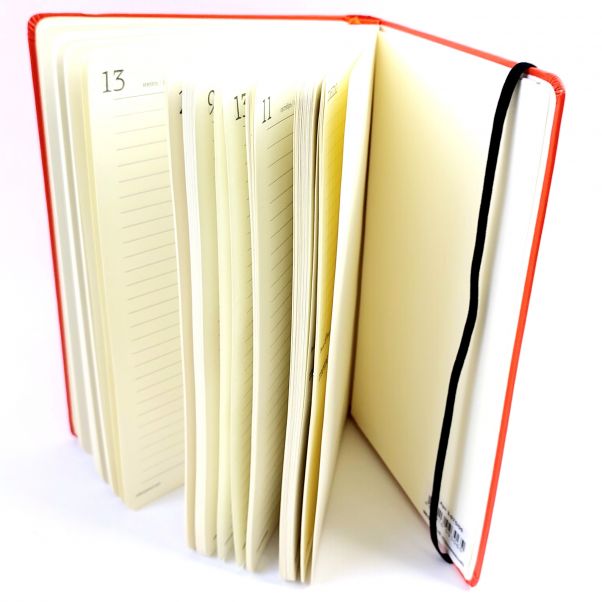 Ежедневник Megapolis А5