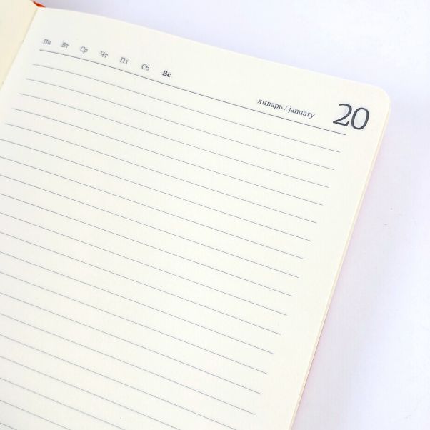 Ежедневник Megapolis А5