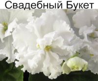 Свадебный Букет