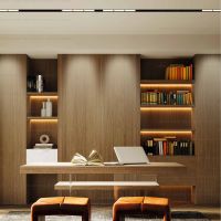 Магнитный низковольтный шинопровод Skyline 48 в интерьере