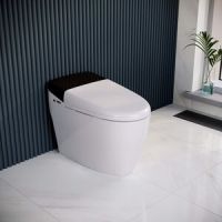 Умный унитаз RGW SW-30 63420130-01 напольный схема 1