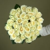 Розы белые 60 см (от 15шт.)