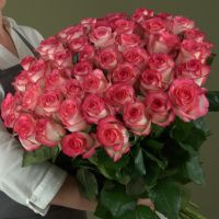 Розы белые в розовой каймой 60 см (от 15шт.)