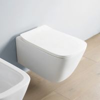 Унитаз подвесной безободковый Artceram A16 ASV005 схема 3