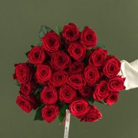Розы красные 60 см (от 15шт.)