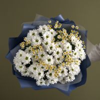 Ромашки микс