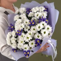 Сборный букет из хризантем и ирисов