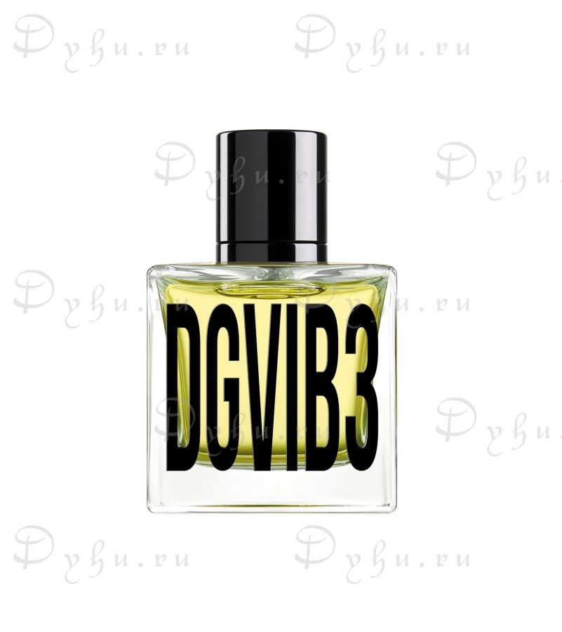 D&G DGVIB3 Eau de Parfum