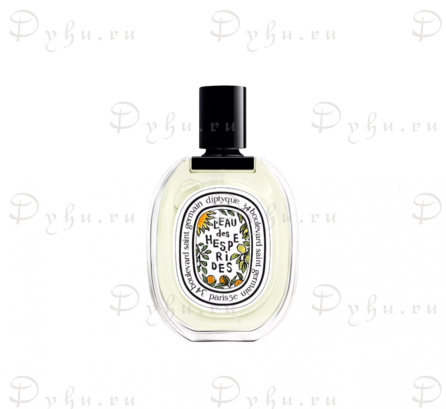 Diptyque L'Eau Des Hesperides