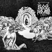BLACK MASS PERVERTOR - Phanerosis